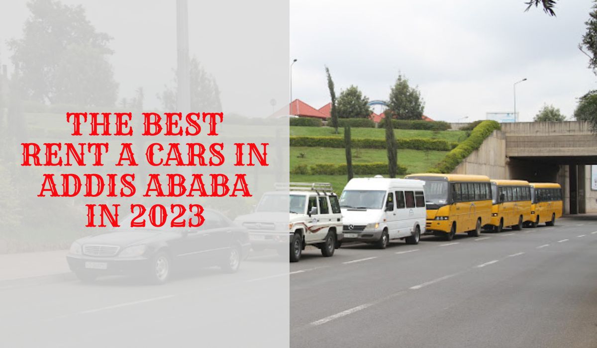 Top car rental companies in Addis Ababa in 2024 Visit Addis Ababa